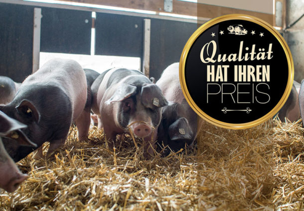 Serie: Qualität hat ihren Preis: Die Kontrollen Schwäbisch Hällische Schweine wühlen im Stroh
