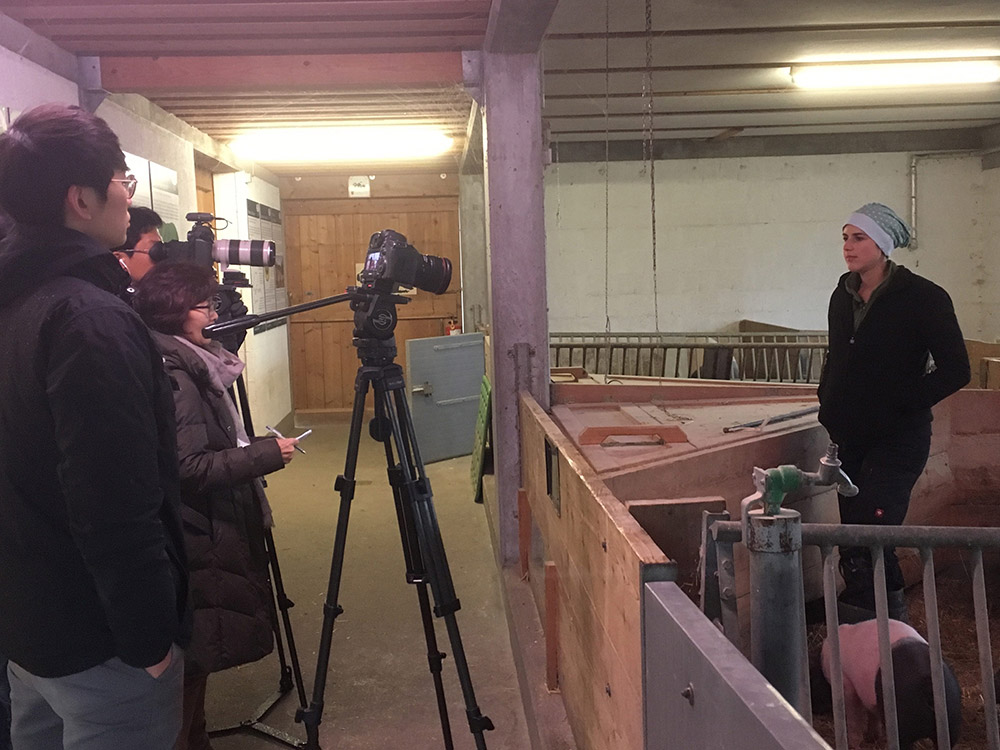 Koreanisches Fernsehen im Schweinestall in Wackershofen interviewt Marina Bühler
