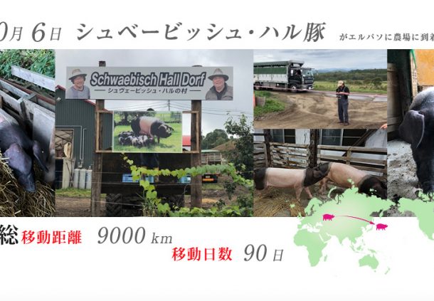 Mit einem neuen Schild „SchwaebischHallDorf“ und Fotos aus Hohenlohe wirbt Hideaki Hirabayashi auf der Webseite für seine Farm in Japan.
