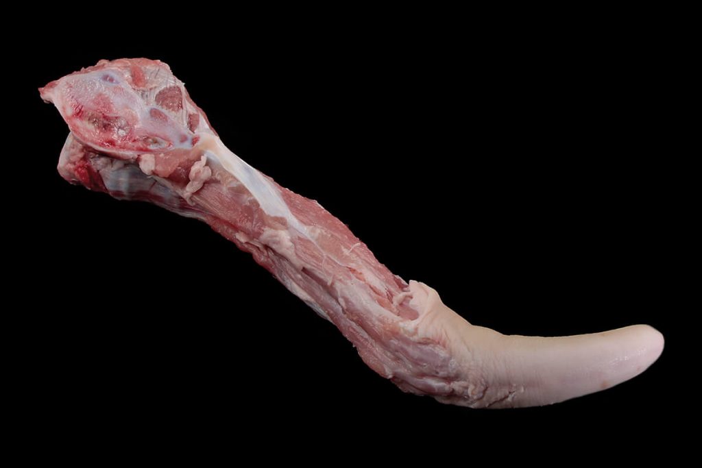 Der Schwanz eines Schwäbisch-Hällischen Schweins.