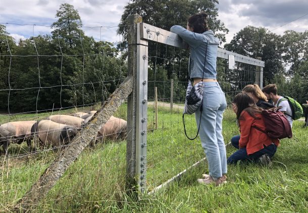 Tierwohl in der Praxis: Teilnehmer der Sommerschule besuchen die Schweineweide am Hirschhof