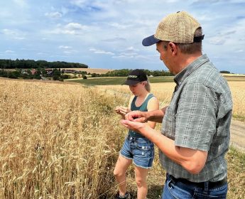 Die Bio-Landwirte Elisa und Albrecht Löblein prüfen den Reifegrad der Weizenkörner.