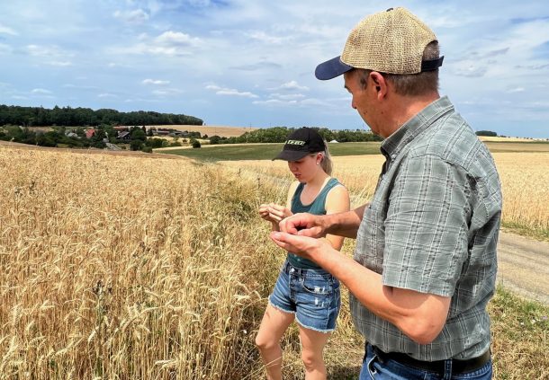 Die Bio-Landwirte Elisa und Albrecht Löblein prüfen den Reifegrad der Weizenkörner.